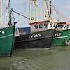 Puzzeltocht de  Geheimen van Volendam